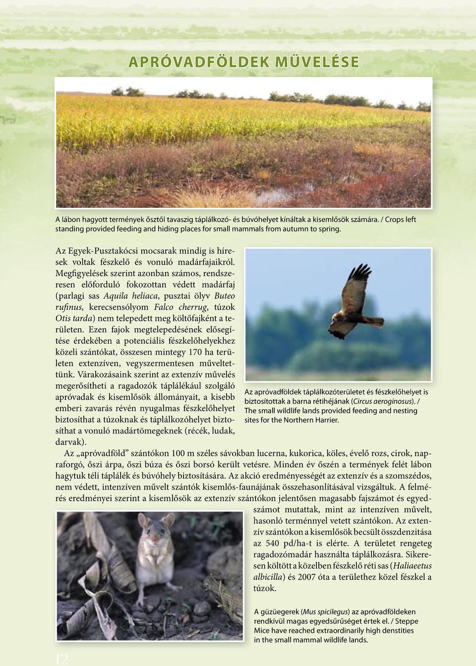 Megfigyelések szerint azonban számos, rendszeresen előforduló fokozottan védett madárfaj (parlagi sas Aquila heliaca, pusztai ölyv Buteo rufinus, kerecsensólyom Falco cherrug, túzok Otis tarda) nem