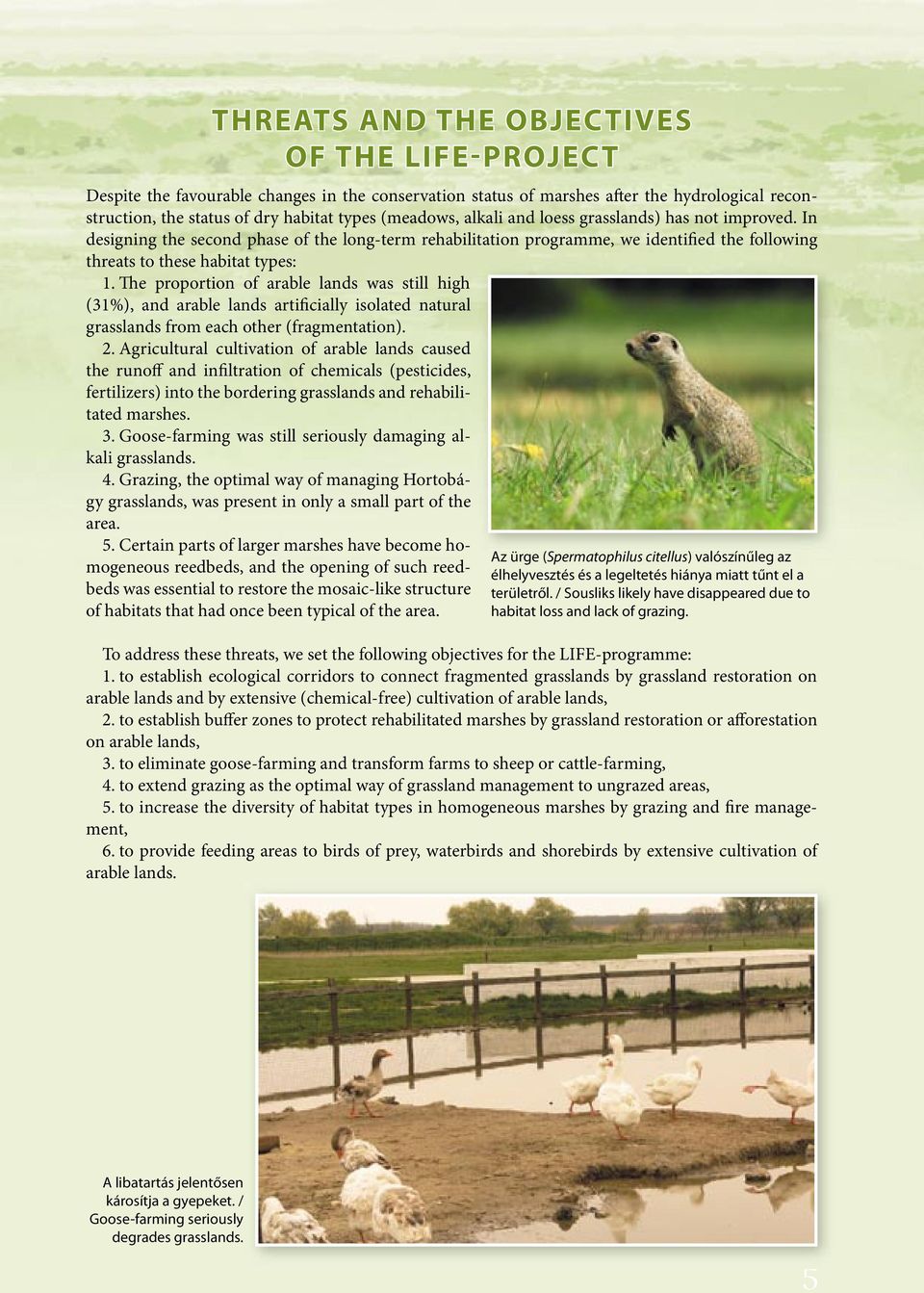 The proportion of arable lands was still high (31%), and arable lands artificially isolated natural grasslands from each other (fragmentation). 2.
