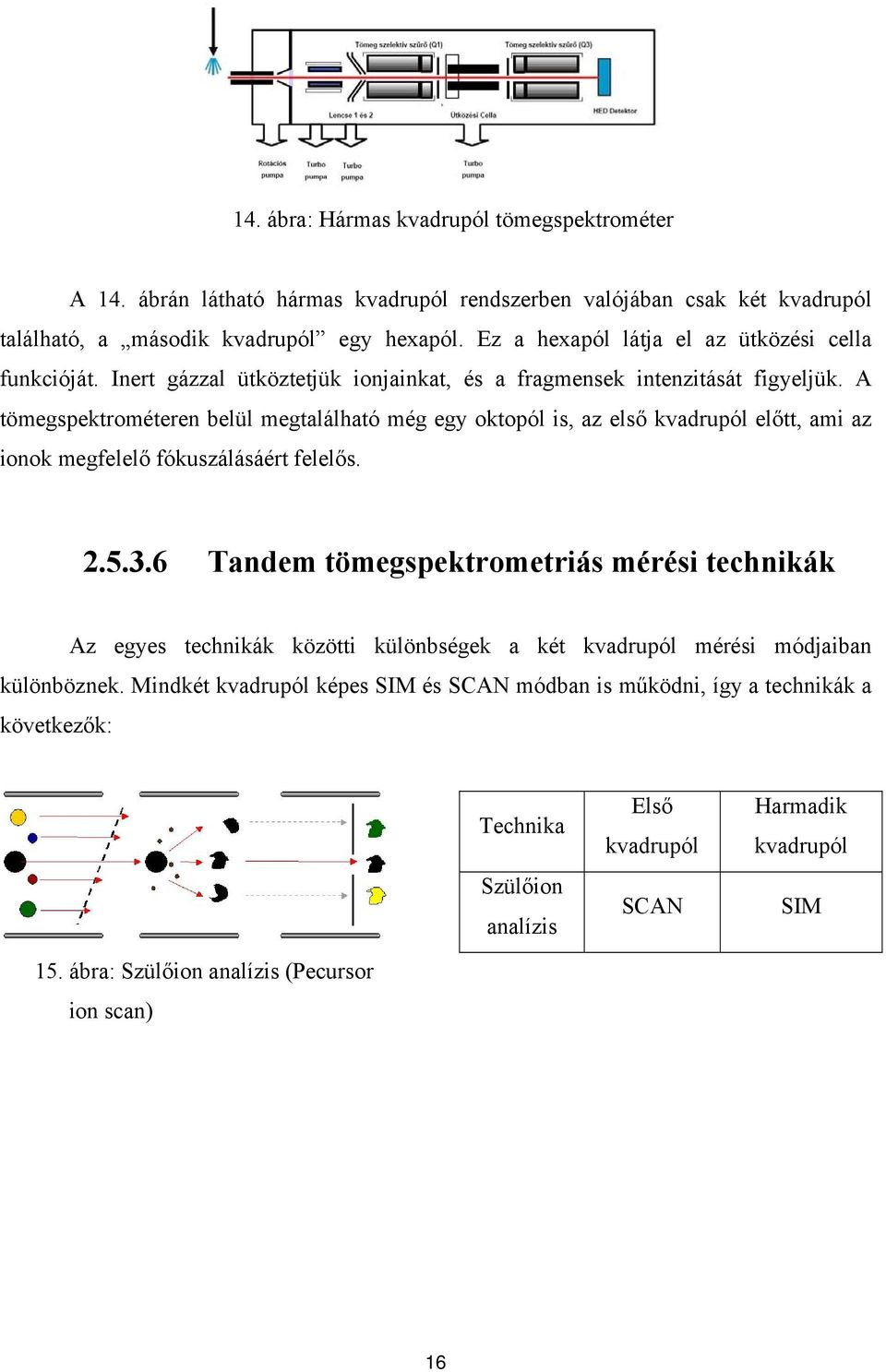 A tömegspektrométeren belül megtalálható még egy oktopól is, az első kvadrupól előtt, ami az ionok megfelelő fókuszálásáért felelős. 2.5.3.