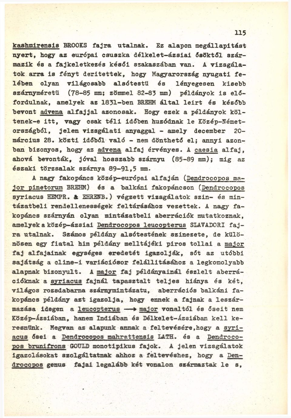 1831-ben BREHM által leirt és később bevont advena alfajjal azonosak.