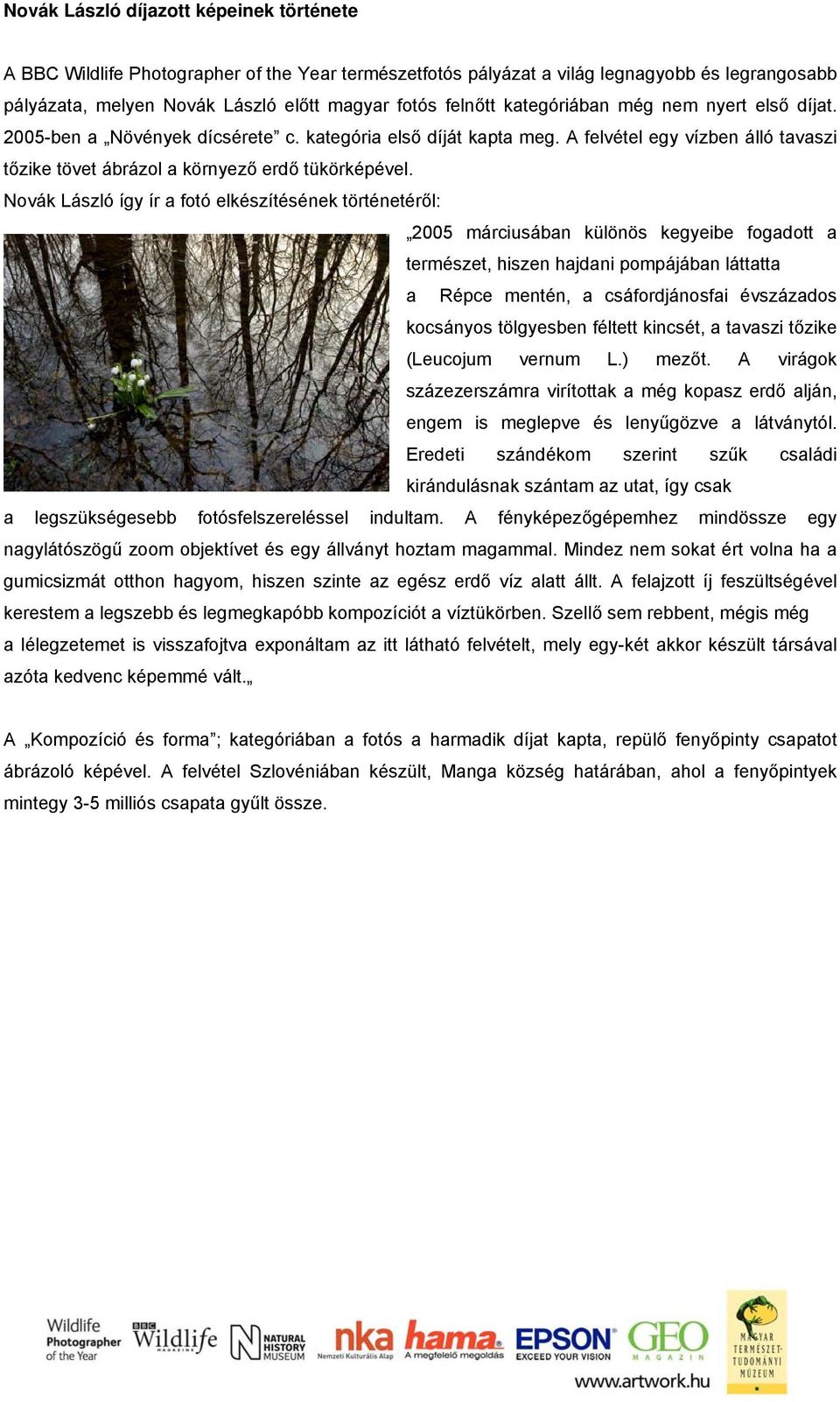 Novák László így ír a fotó elkészítésének történetéről: 2005 márciusában különös kegyeibe fogadott a természet, hiszen hajdani pompájában láttatta a Répce mentén, a csáfordjánosfai évszázados