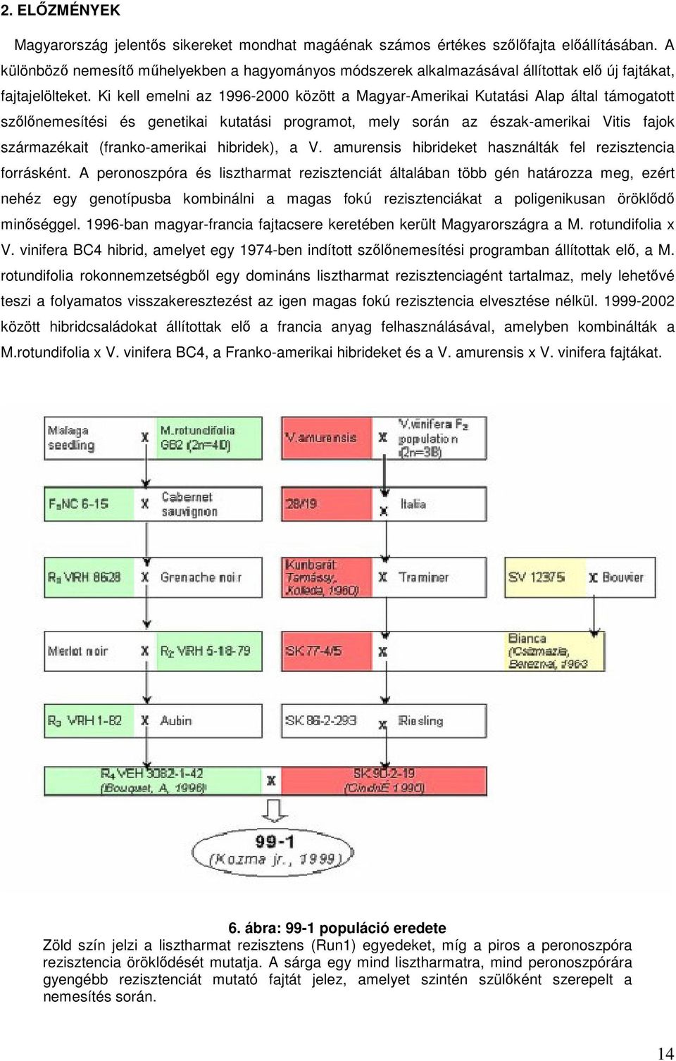 Ki kell emelni az 1996-2000 között a Magyar-Amerikai Kutatási Alap által támogatott szőlőnemesítési és genetikai kutatási programot, mely során az észak-amerikai Vitis fajok származékait
