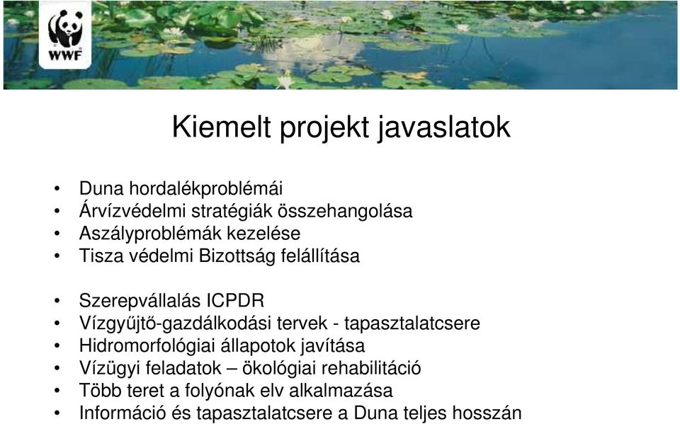 Vízgyőjtı-gazdálkodási tervek - tapasztalatcsere Hidromorfológiai állapotok javítása Vízügyi