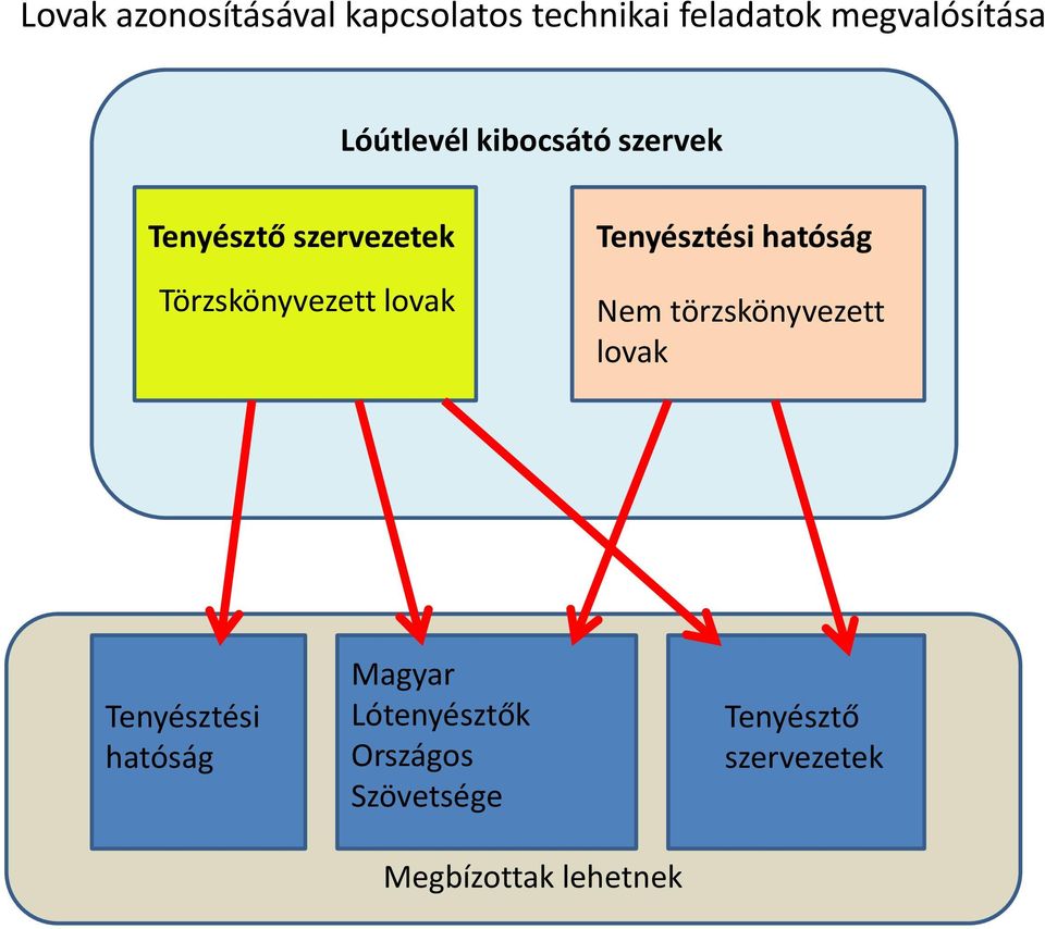 Tenyésztési hatóság Nem törzskönyvezett lovak Tenyésztési hatóság