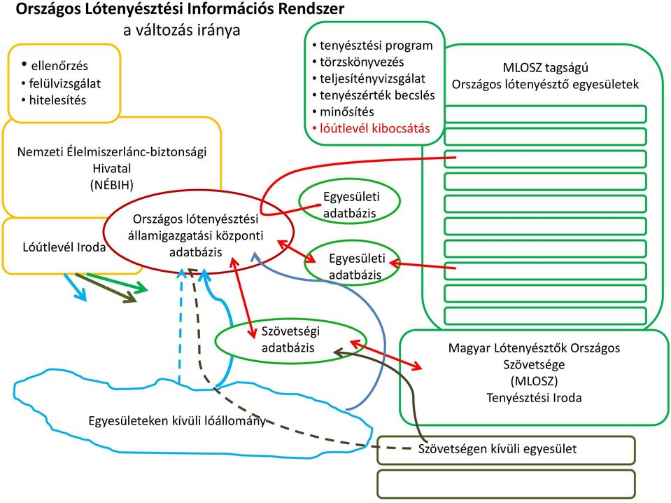 tenyészérték becslés minősítés lóútlevél kibocsátás Egyesületi adatbázis Egyesületi adatbázis MLOSZ tagságú Országos lótenyésztő egyesületek