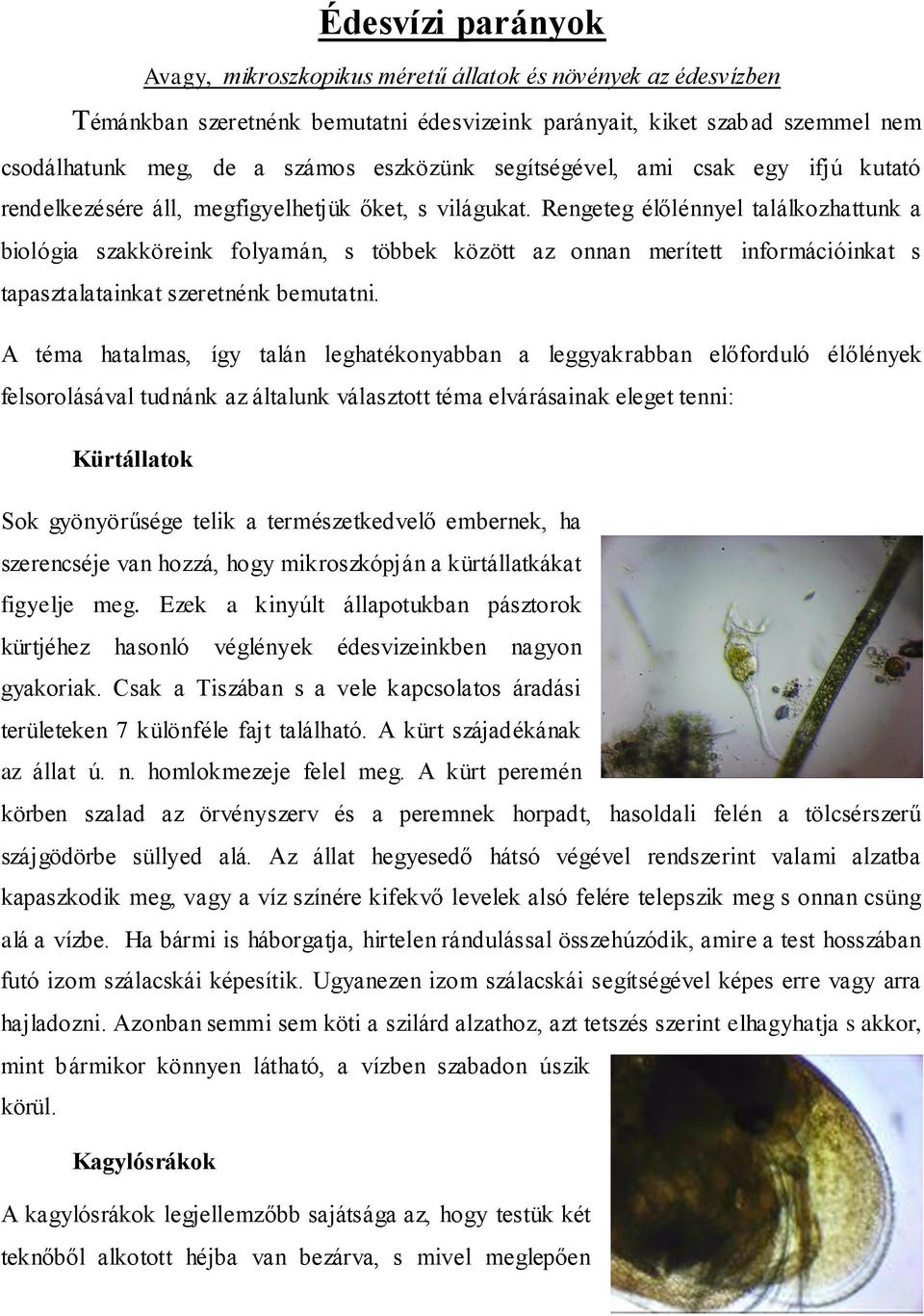 Rengeteg élőlénnyel találkozhattunk a biológia szakköreink folyamán, s többek között az onnan merített információinkat s tapasztalatainkat szeretnénk bemutatni.