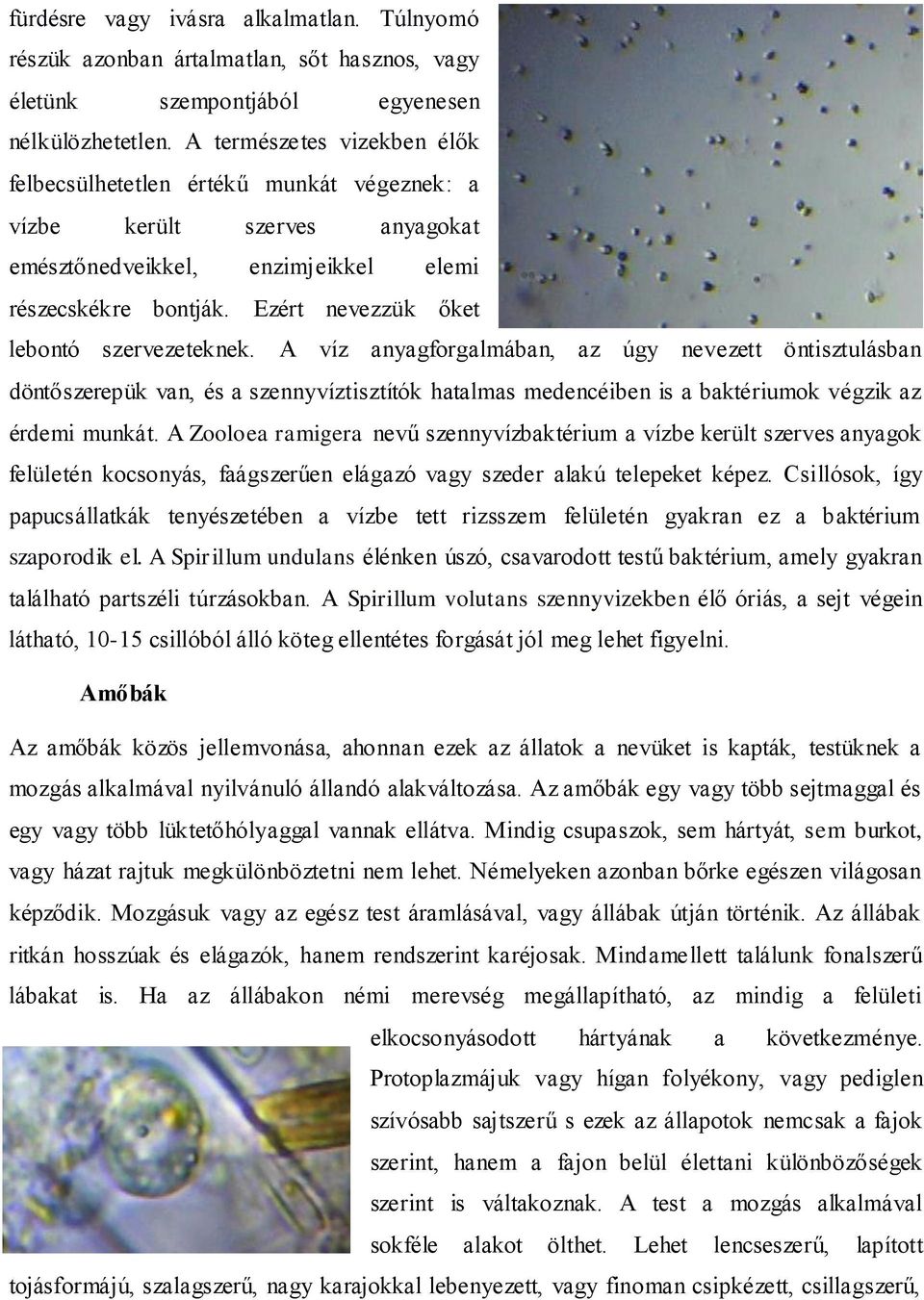 Ezért nevezzük őket lebontó szervezeteknek.