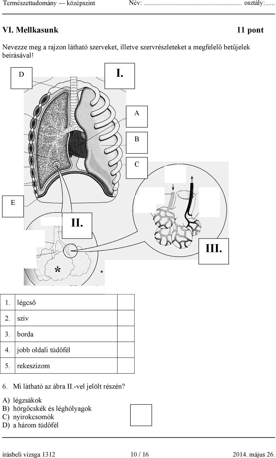 betűjelek beírásával! I. D A B C E II. III. * 1. légcső 2. szív 3. borda 4. jobb oldali tüdőfél 5.