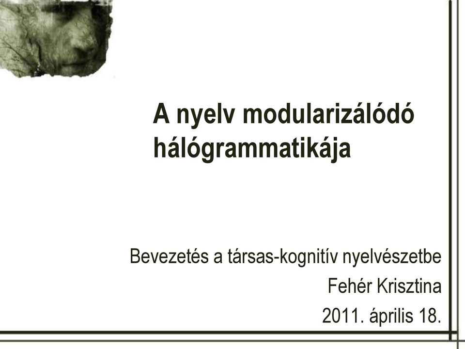 társas-kognitív nyelvészetbe