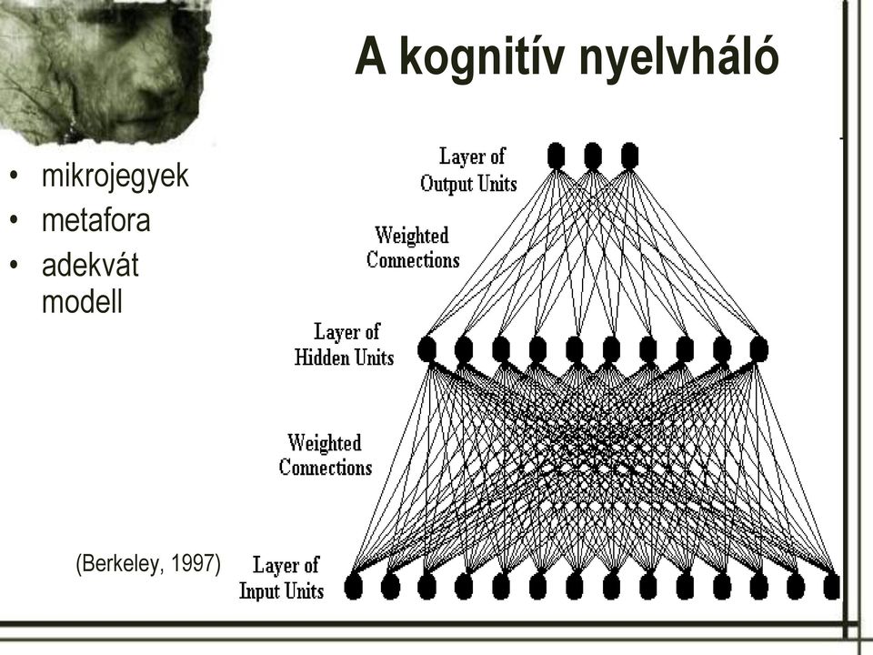 mikrojegyek