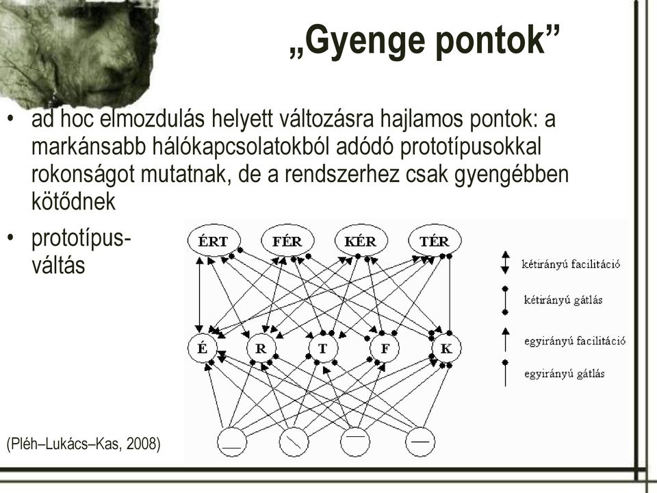 prototípusokkal rokonságot mutatnak, de a rendszerhez