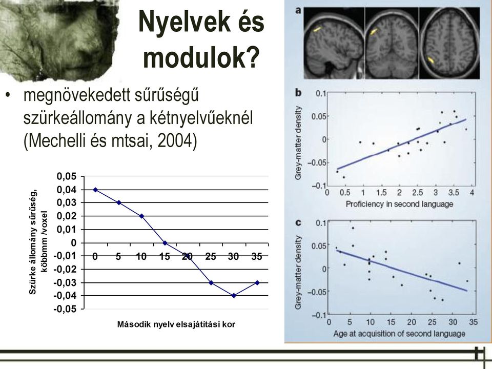 (Mechelli és mtsai, 2004) 0,05 0,04 0,03 0,02 0,01