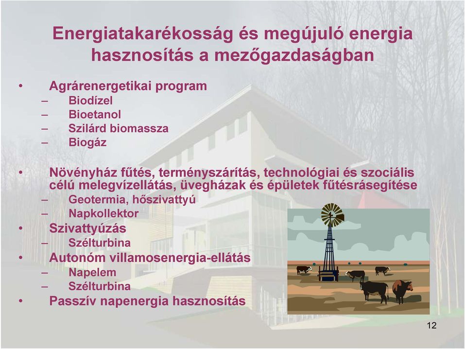 szociális célú melegvízellátás, üvegházak és épületek fűtésrásegítése Geotermia, hőszivattyú