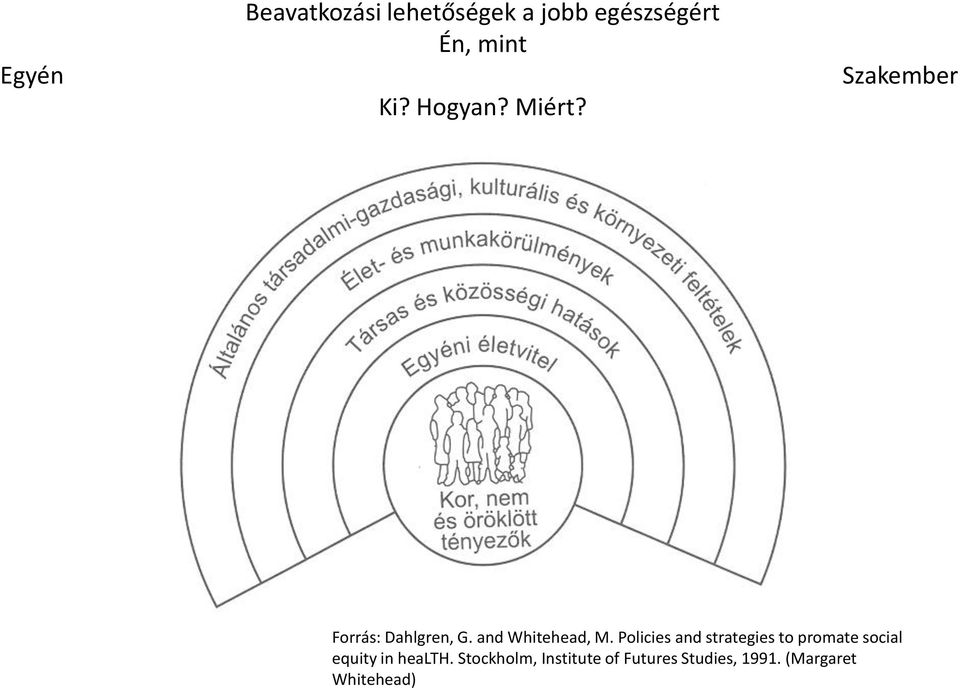 Policies and strategies to promate social equity in health.
