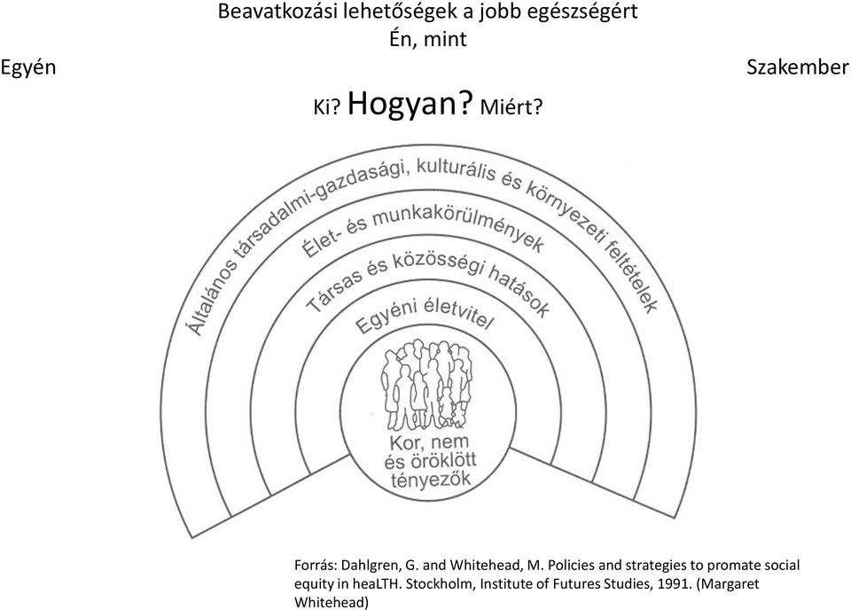 Policies and strategies to promate social equity in health.