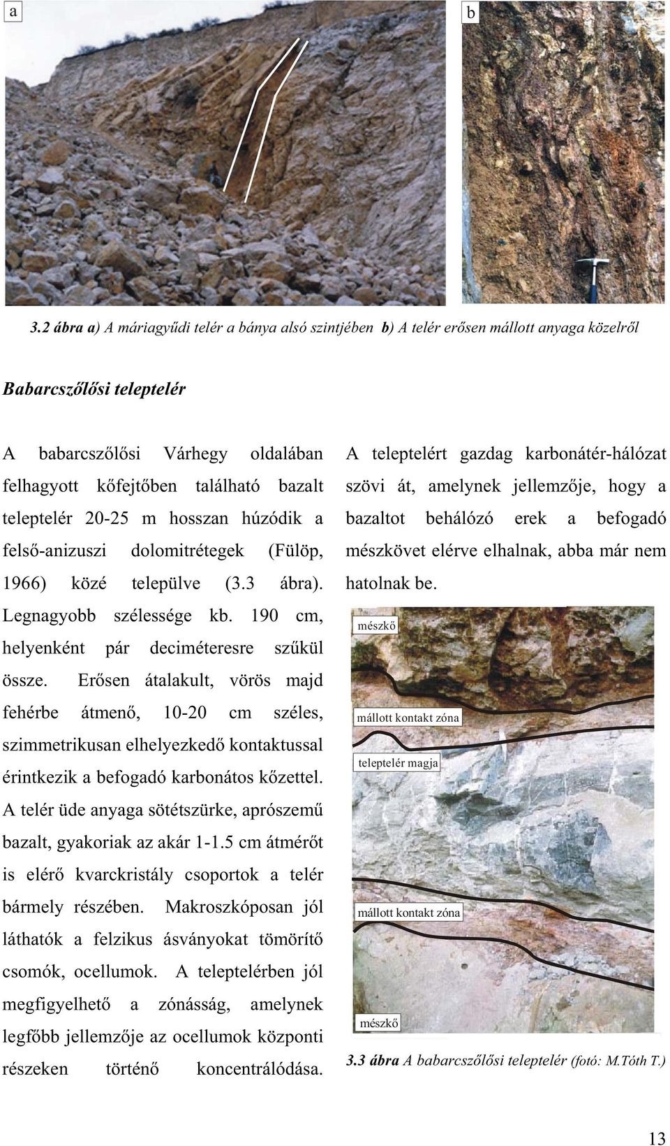 teleptelér 20-25 m hosszan húzódik a fels -anizuszi dolomitrétegek (Fülöp, 1966) közé települve (3.3 ábra). Legnagyobb szélessége kb. 190 cm, helyenként pár deciméteresre sz kül össze.