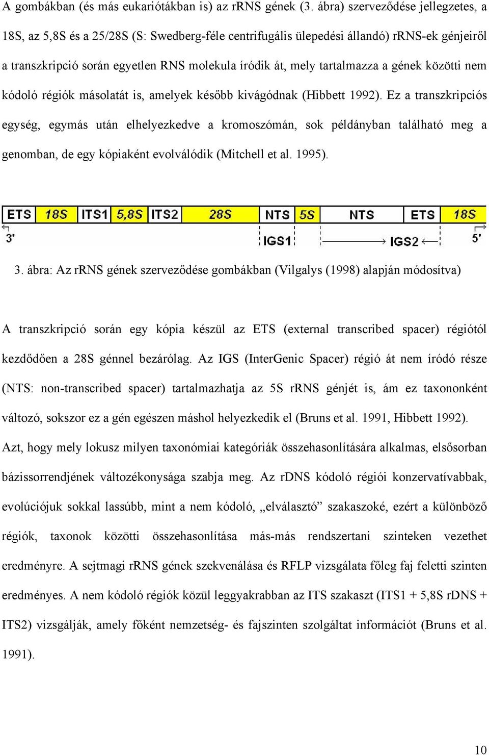 a gének közötti nem kódoló régiók másolatát is, amelyek később kivágódnak (Hibbett 1992).