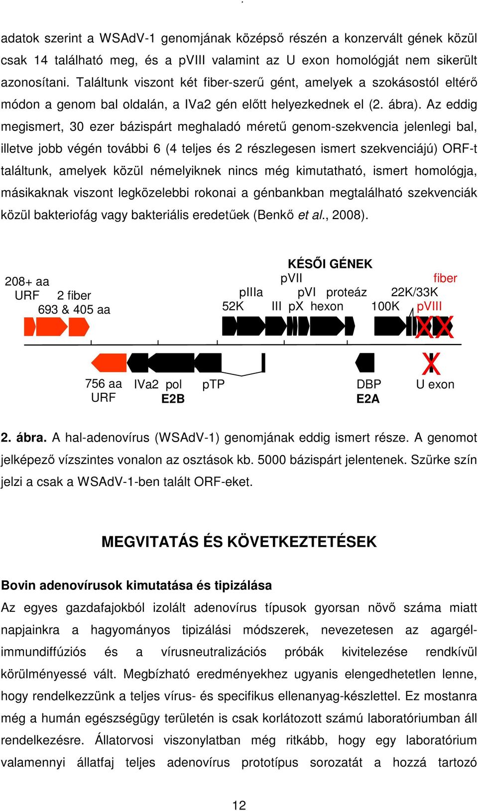 Az eddig megismert, 30 ezer bázispárt meghaladó mérető genom-szekvencia jelenlegi bal, illetve jobb végén további 6 (4 teljes és 2 részlegesen ismert szekvenciájú) ORF-t találtunk, amelyek közül