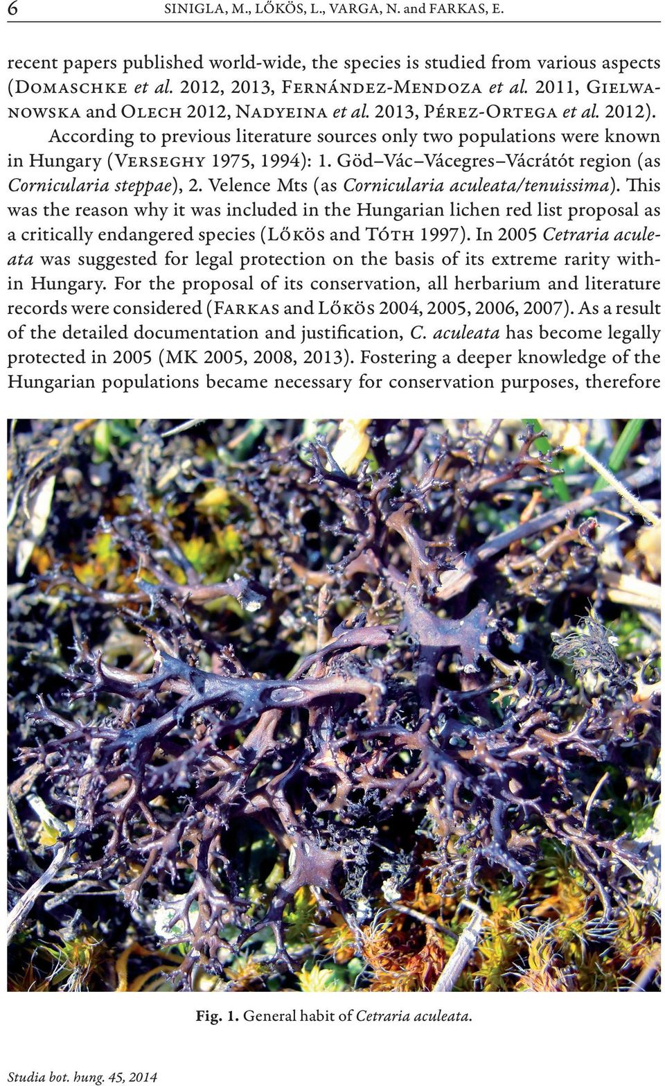 Göd Vác Vácegres Vácrátót region (as Cornicularia steppae), 2. Velence Mts (as Cornicularia aculeata/tenuissima).