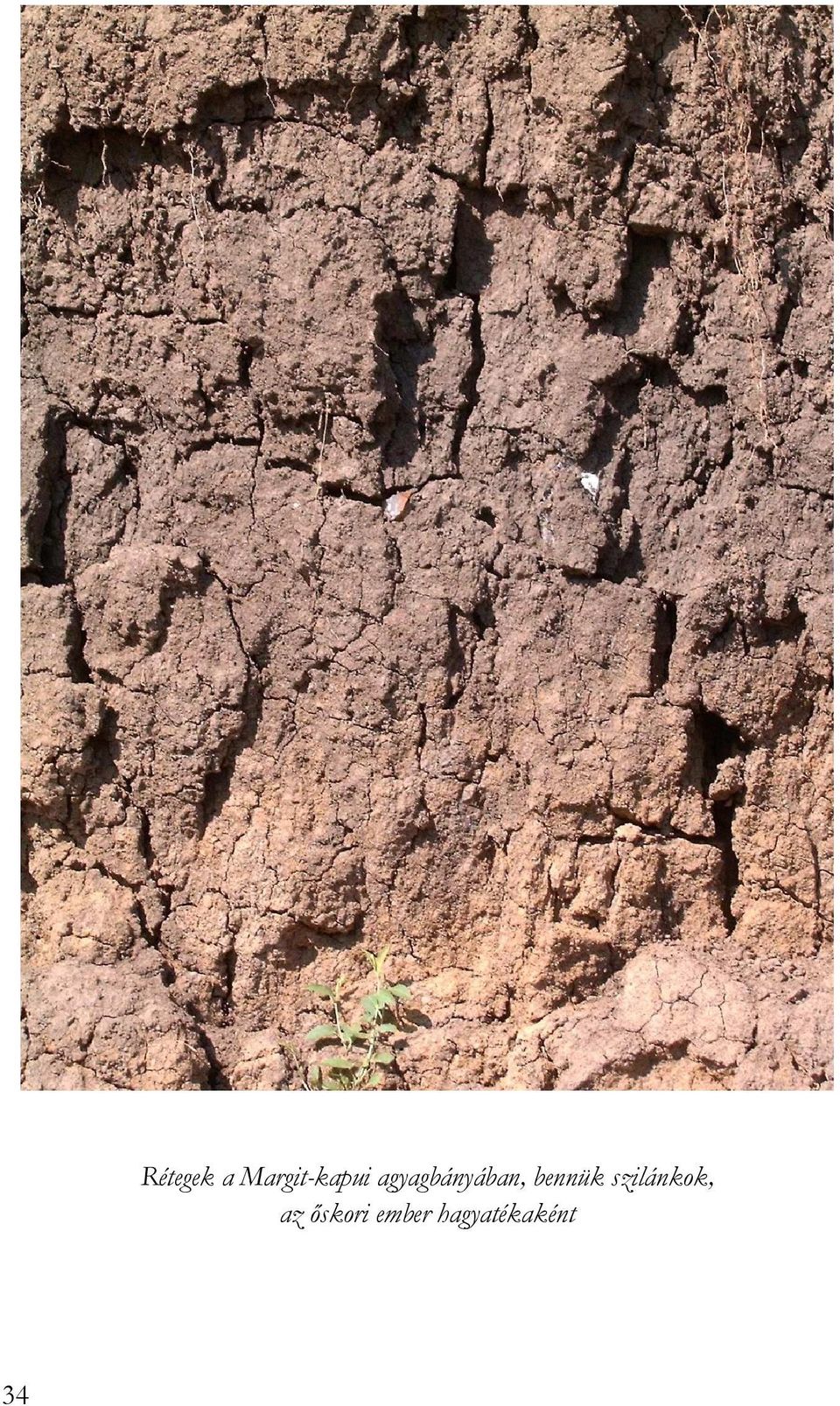 agyagbányában, bennük