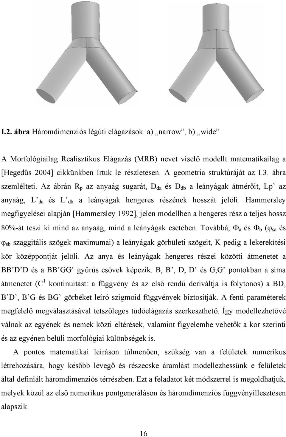 Hammersley megfigyelései alapján [Hammersley 1992], jelen modellben a hengeres rész a teljes hossz 80%-át teszi ki mind az anyaág, mind a leányágak esetében.