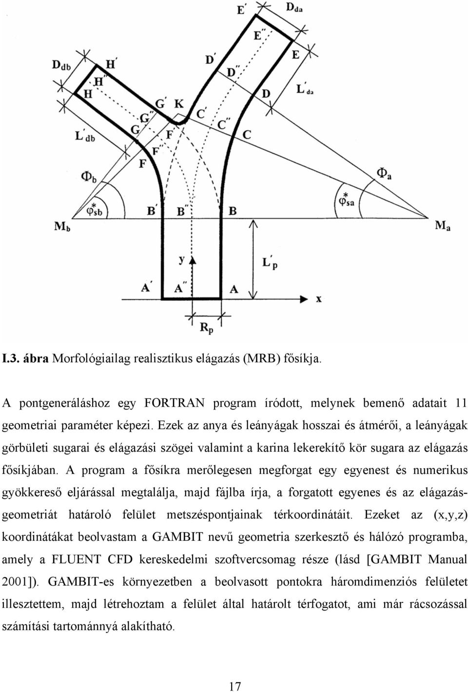 A program a fősíkra merőlegesen megforgat egy egyenest és numerikus gyökkereső eljárással megtalálja, majd fájlba írja, a forgatott egyenes és az elágazásgeometriát határoló felület metszéspontjainak