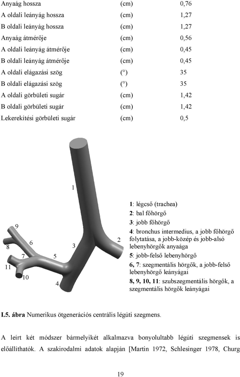 (trachea) 2: bal főhörgő 3: jobb főhörgő 4: bronchus intermedius, a jobb főhörgő folytatása, 1: légcső a jobb-közép és jobb-alsó lebenyhörgők anyaága 2: bal főhörgő 5: 3: jobb-felső főhörgő