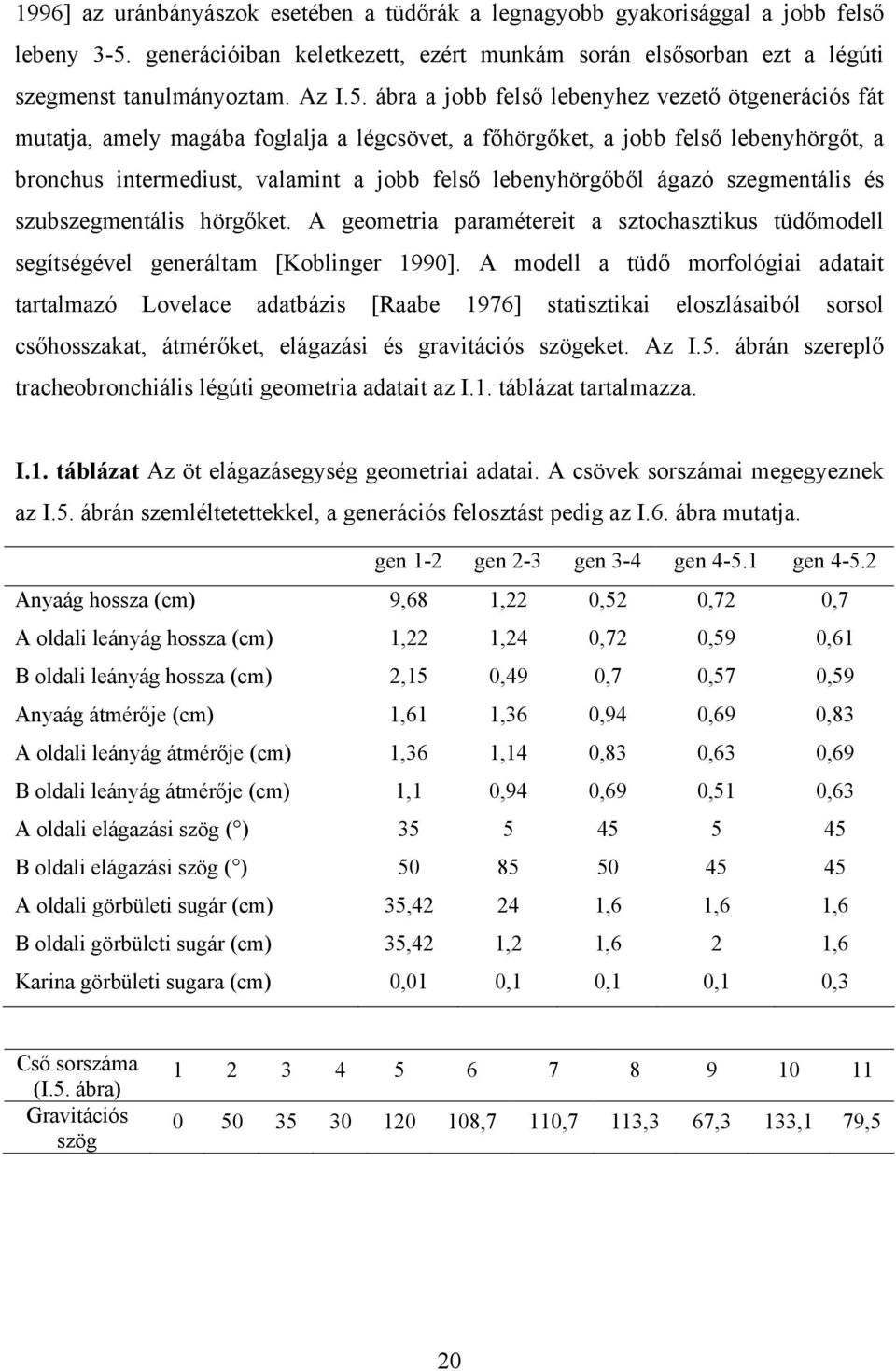 ábra a jobb felső lebenyhez vezető ötgenerációs fát mutatja, amely magába foglalja a légcsövet, a főhörgőket, a jobb felső lebenyhörgőt, a bronchus intermediust, valamint a jobb felső lebenyhörgőből