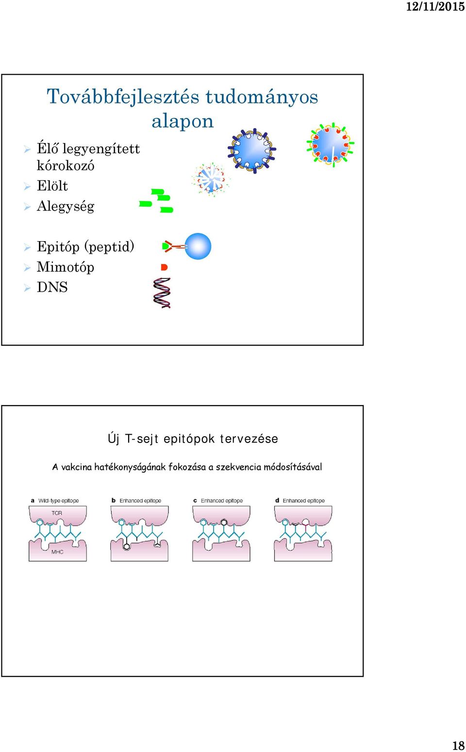 (peptid) Mimotóp DNS Új T-sejt epitópok tervezése