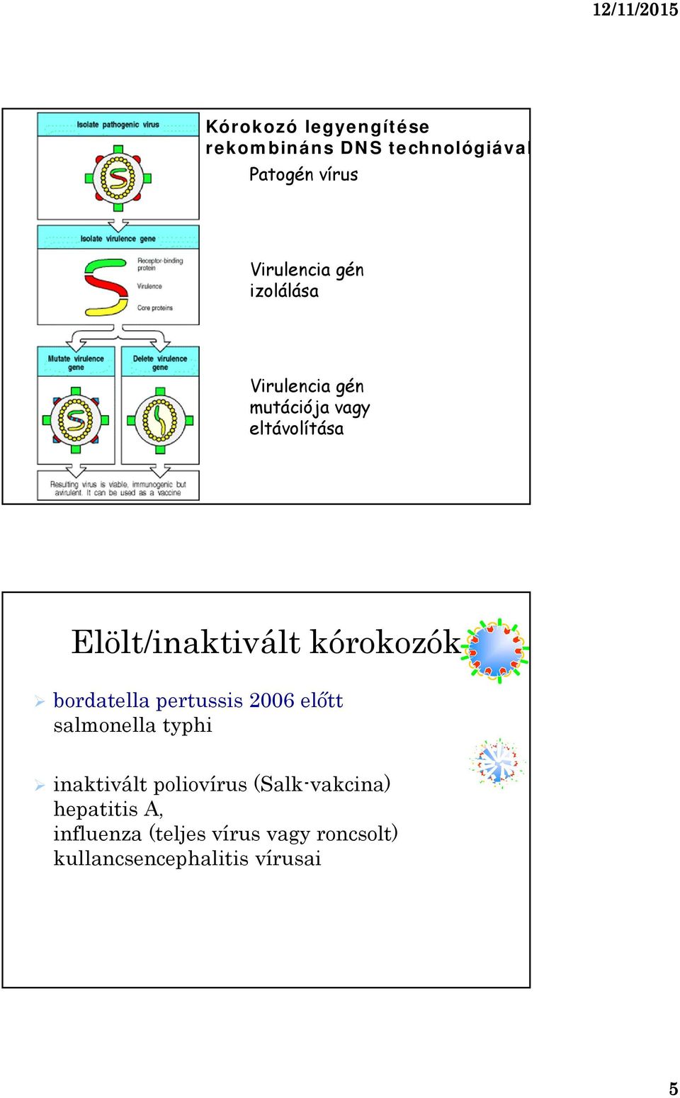 bordatella pertussis 2006 előtt salmonella typhi inaktivált poliovírus