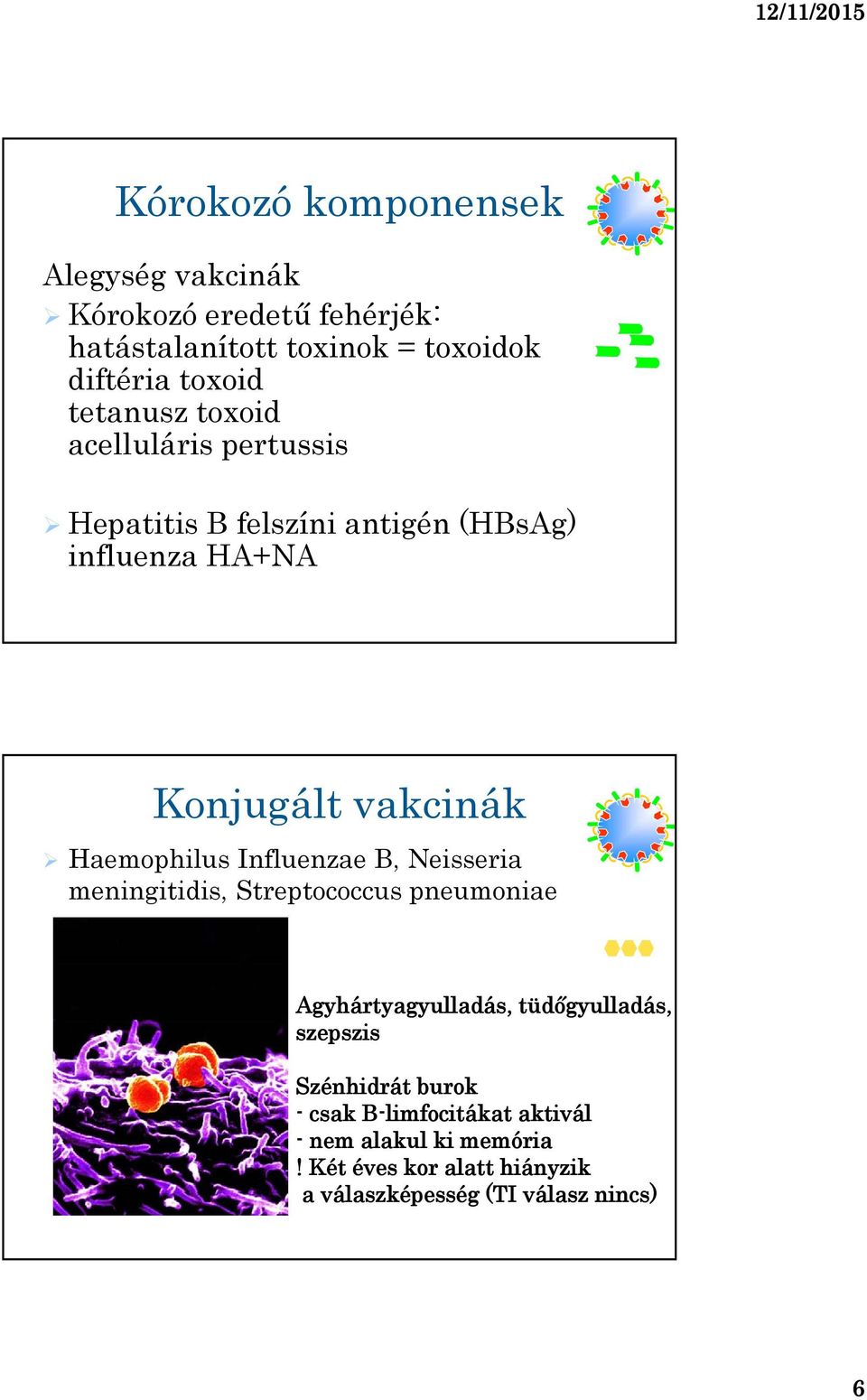 Haemophilus Influenzae B, Neisseria meningitidis, Streptococcus pneumoniae Agyhártyagyulladás, tüdőgyulladás, szepszis