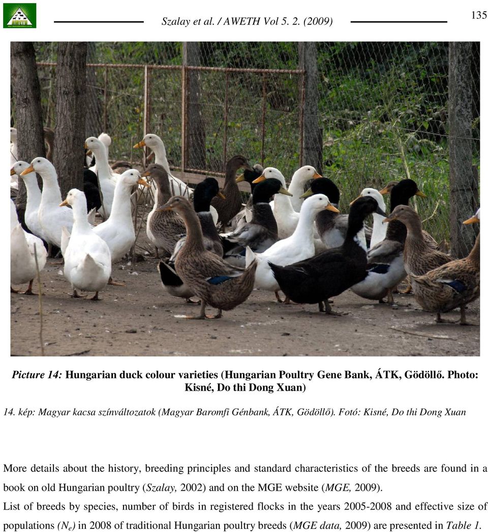 Fotó: Kisné, Do thi Dong Xuan More details about the history, breeding principles and standard characteristics of the breeds are found in a book on old