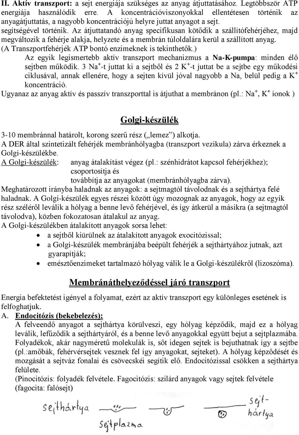 Az átjuttatandó anyag specifikusan kötődik a szállítófehérjéhez, majd megváltozik a fehérje alakja, helyzete és a membrán túloldalára kerül a szállított anyag.