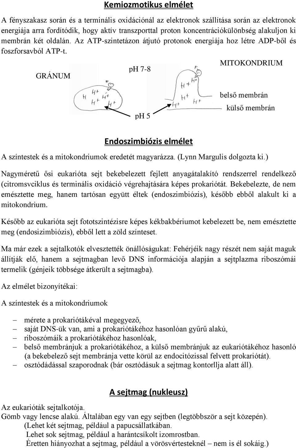 GRÁNUM ph 7-8 MITOKONDRIUM ph 5 belső membrán külső membrán Endoszimbiózis elmélet A színtestek és a mitokondriumok eredetét magyarázza. (Lynn Margulis dolgozta ki.