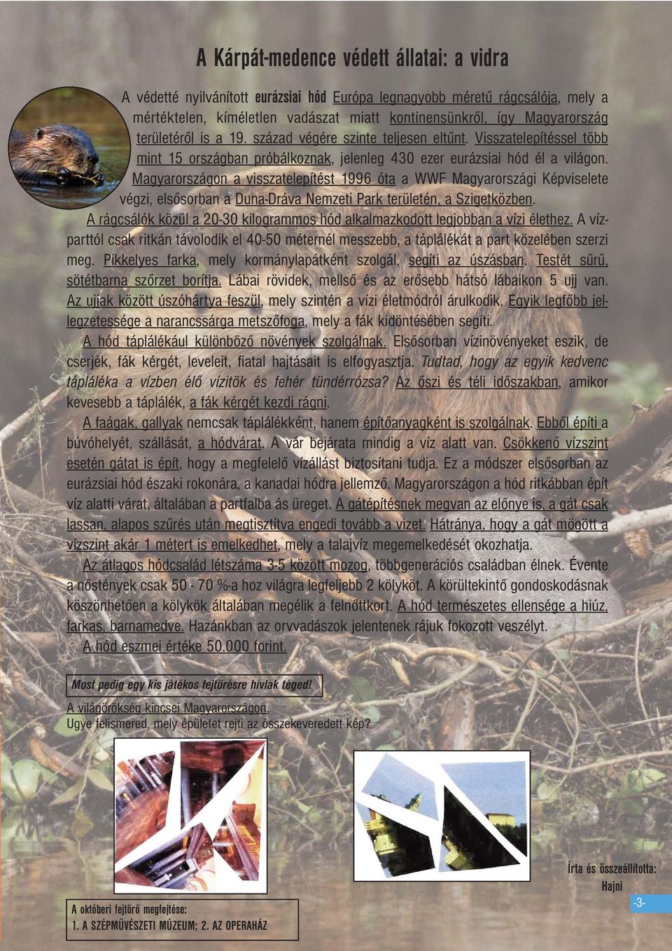 Magyarországon a visszatelepítést 1996 óta a WWF Magyarországi Képviselete végzi, elsősorban a Duna-Dráva Nemzeti Park területén, a Szigetközben.