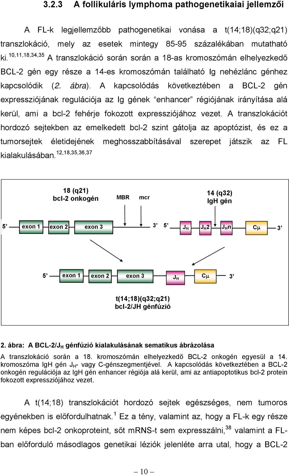 A kapcsolódás következtében a BCL-2 gén expressziójának regulációja az Ig gének enhancer régiójának irányítása alá kerül, ami a bcl-2 fehérje fokozott expressziójához vezet.