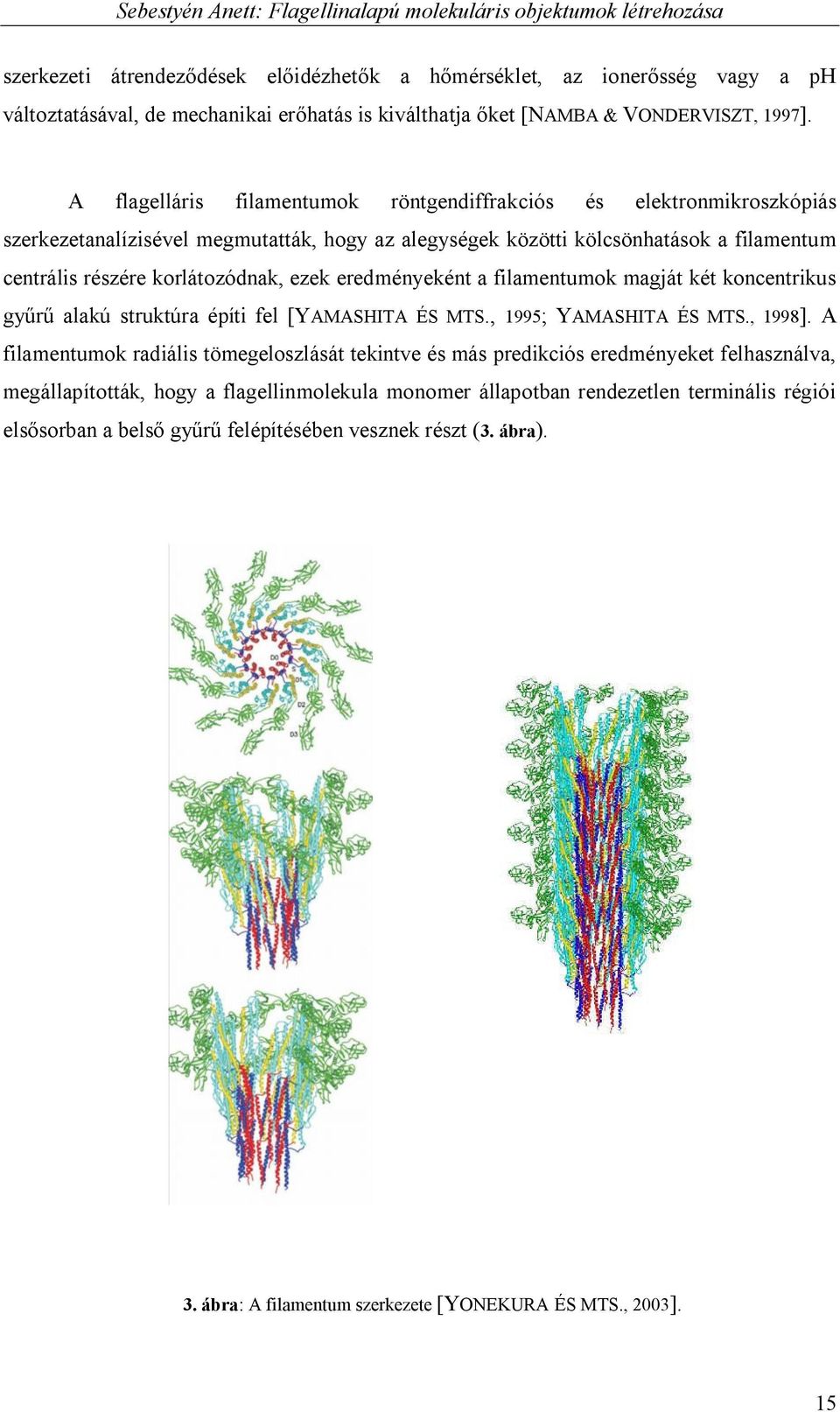 eredményeként a filamentumok magját két koncentrikus gyűrű alakú struktúra építi fel [YAMASHITA ÉS MTS., 1995; YAMASHITA ÉS MTS., 1998].