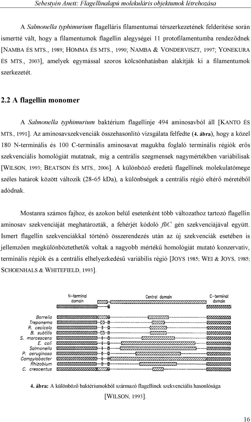, 1991]. Az aminosavszekvenciák összehasonlító vizsgálata felfedte (4.