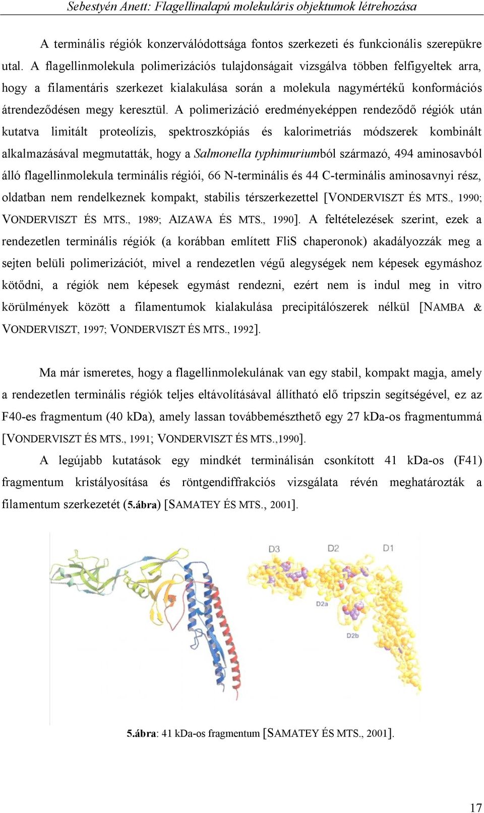 A polimerizáció eredményeképpen rendeződő régiók után kutatva limitált proteolízis, spektroszkópiás és kalorimetriás módszerek kombinált alkalmazásával megmutatták, hogy a Salmonella typhimuriumból