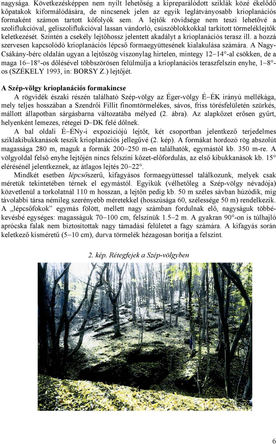 A lejtők rövidsége nem teszi lehetővé a szoliflukcióval, geliszoliflukcióval lassan vándorló, csúszóblokkokkal tarkított törmeléklejtők keletkezését.