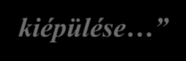 ne ötletszerűen történjen az öntözőművek kiépülése Kossuth Ferenc,