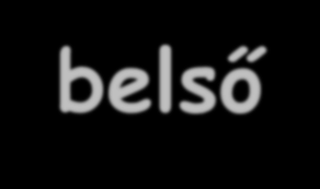 elősegítő program Integráció:külső belső VGT intézkedések lefordítása