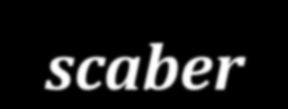 Porcellio scaber érdes pinceászka sötét, vagy ólomszürke színű hátoldala