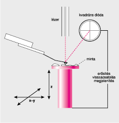 Atomi erő mikroszkópia (AFM) működési elve (G.