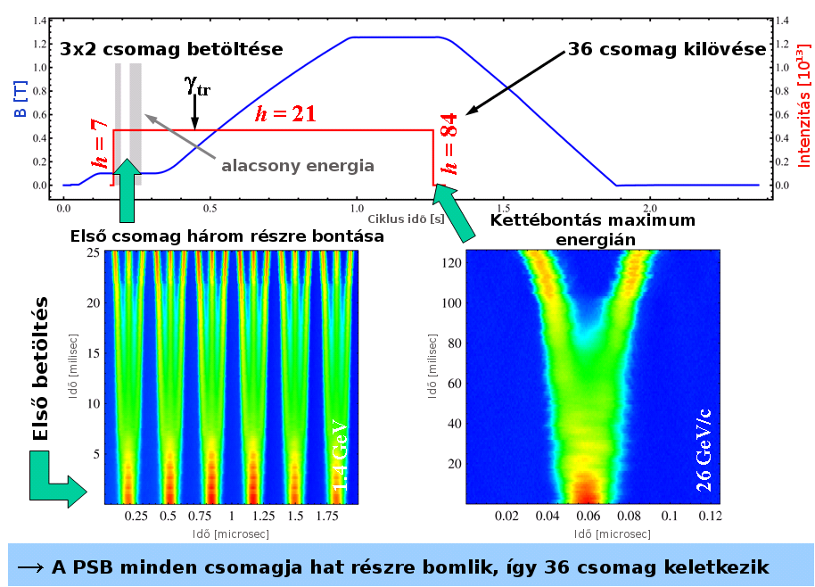 A Proton Synchrotron A PS minden adag minden csomagját először szétválasztja 3 részre, felgyorsítja 26 GeV-re, majd kettéválasztja Az