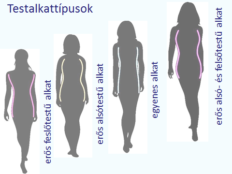 7. Az ábrán a négy női testalkati alaptípus látható. Jellemezze a testalkatokat a mell-, derék- és csípőkerület egymáshoz viszonyított arányai alapján!