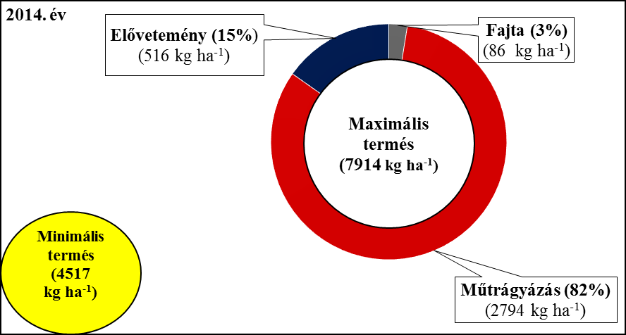 17. ábra: Az évjárat, az elővetemény, a műtrágyázás és a fajta szerepe az őszi búza termésmennyiségének alakulásában, varianciakomponensek felosztásával (Debrecen, 2013)