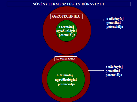 A DEBRECENI EGYETEM MÉK NÖVÉNYTUDOMÁNYI INTÉZETE Általános megközelítésben a növénytermesztési technológiák olyan mesterséges ökológiai rendszerek, amelyben az antropogén beavatkozásokkal,