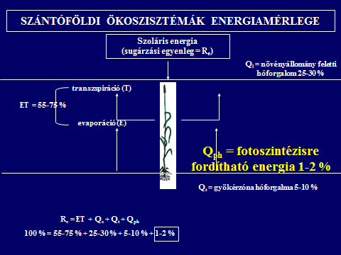 PEPÓ PÉTER nemesítési és növényfiziológiai módszerek ökológiai és agrotechnikai módszerek. 4.