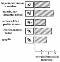 A terhelés és igénybevétel koncepciója Emelési feladatok veszélyességi szintjei log (stressz-mérték H) életveszély határvonala igénybevétel növekedése egészségkárosodás határa (tolerancia) log